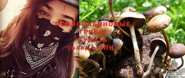 ALPHA PVP Лихославль